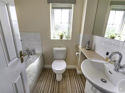 Picture 15